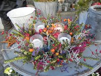 Nikon Coolpix 055  beautiful arrangement